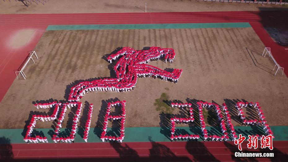 《海贼王第890集》在线观看