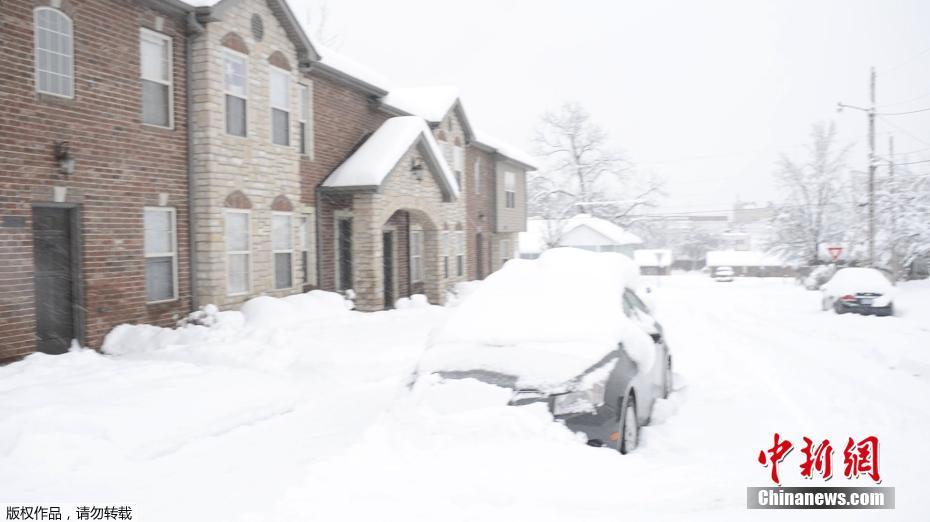 《海贼王第890集》在线观看