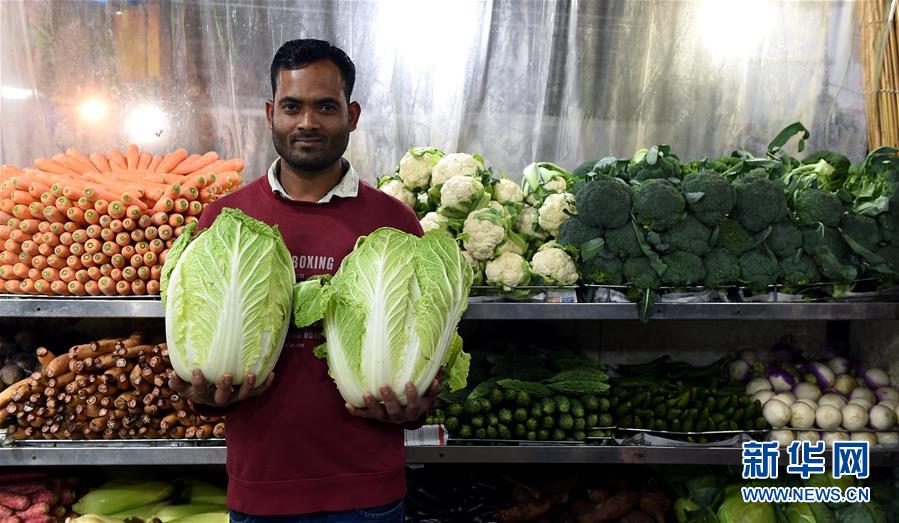 免费漫画阅站官方正版：无广告弹窗，全网漫画免费看