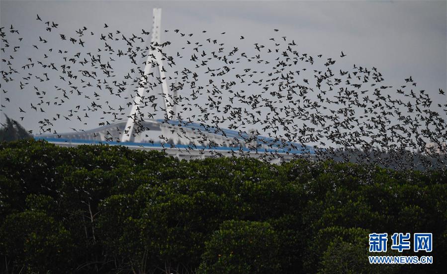 同人：约会大作战datealive ex章节（3） ast存亡战 第一节