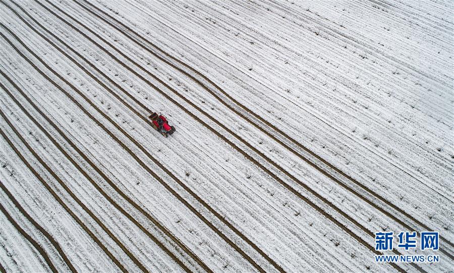 哔哩哔哩隐藏内容怎么找？特殊标签与搜索技巧是关键