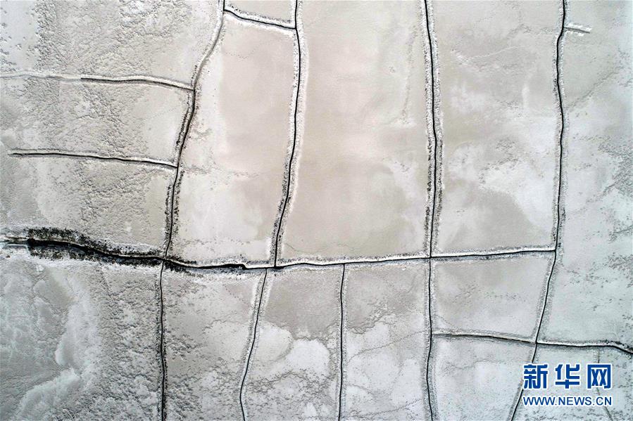 异世界搞笑冒险番为何吸引人？独特设定与反差角色是关键