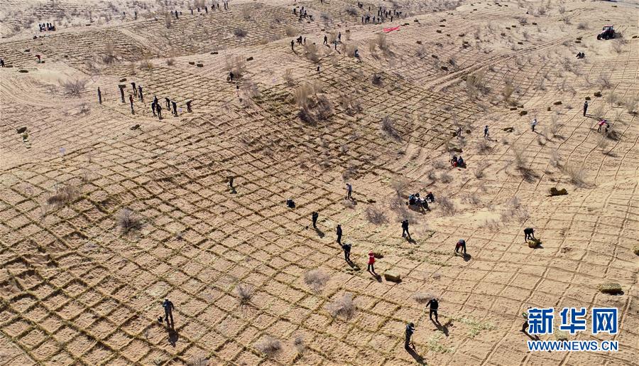 笔趣阁手机版：优质小说阅读软件，类型全且可自由查找