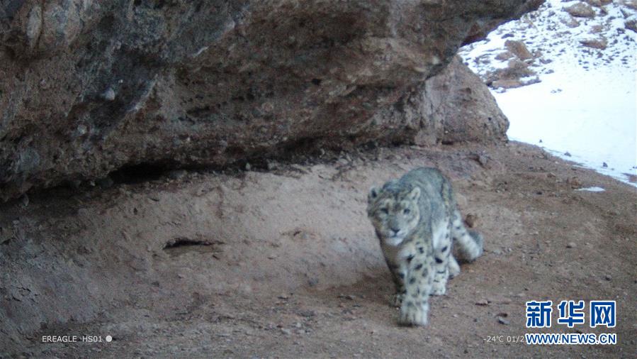 笔趣阁手机版：优质小说阅读软件，类型全且可自由查找