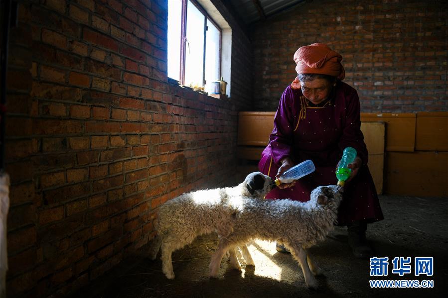 《海贼王第890集》在线观看