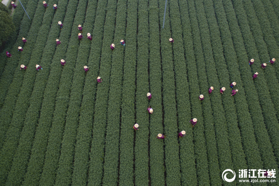 异世界搞笑冒险番为何吸引人？独特设定与反差角色是关键