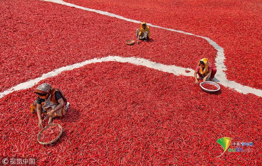 漫画《王牌御史》壁纸