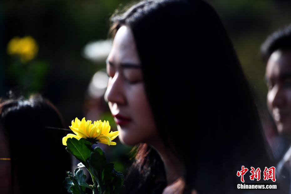 弱点漫画在线观看