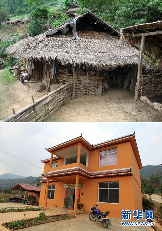 弱点漫画在线观看