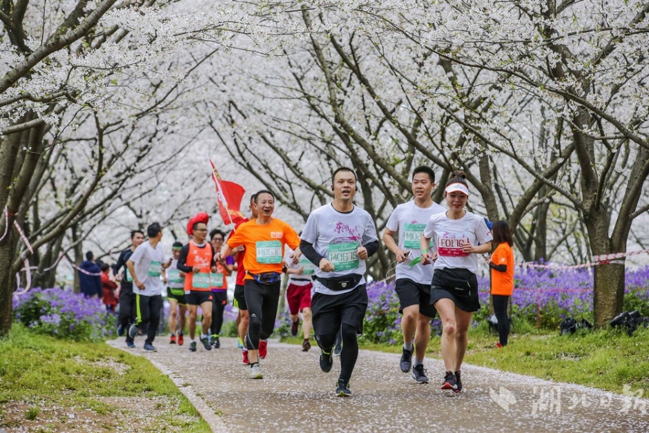 独步逍遥免费看樱花布米米