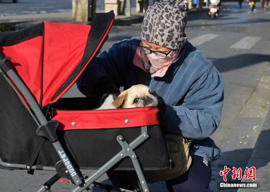 网络文学爱好者必读！新笔趣阁现状及使用建议大揭秘？
