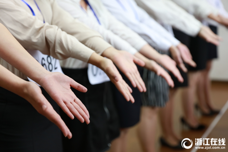 《蓝翅》漫画免费阅读