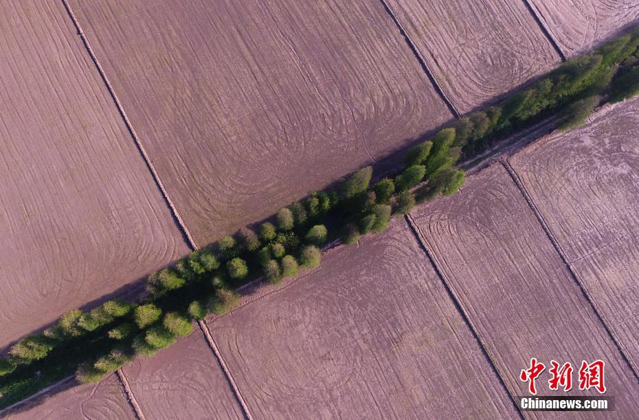 同人：约会大作战datealive ex章节（3） ast存亡战 第一节