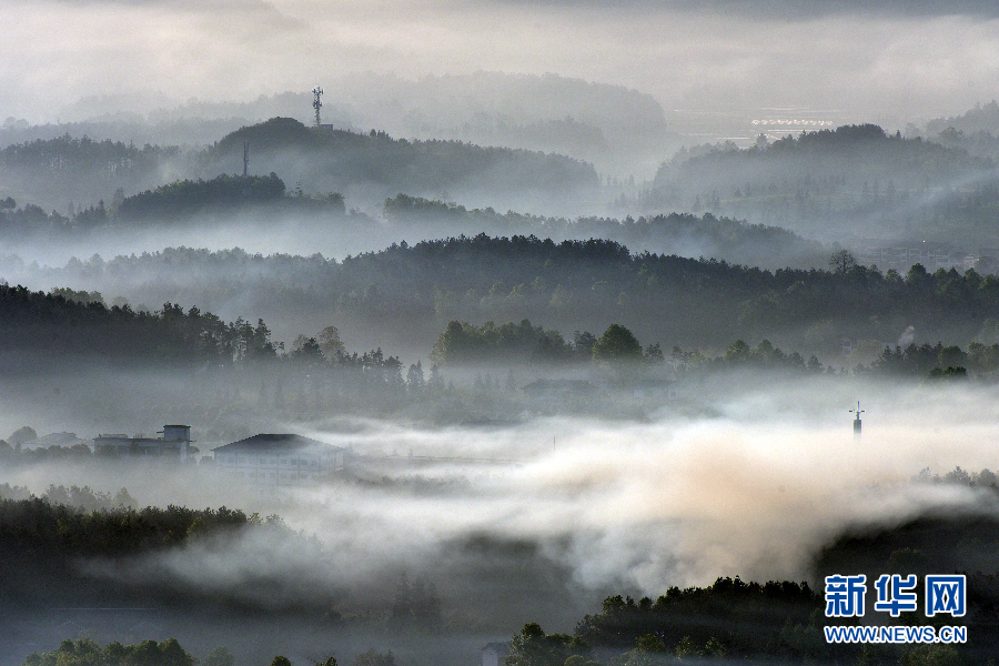 阅站漫画app最新版：免费搜索全网漫画，畅享多种便捷阅读体验