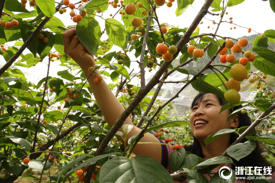 同人：约会大作战datealive ex章节（3） ast存亡战 第一节