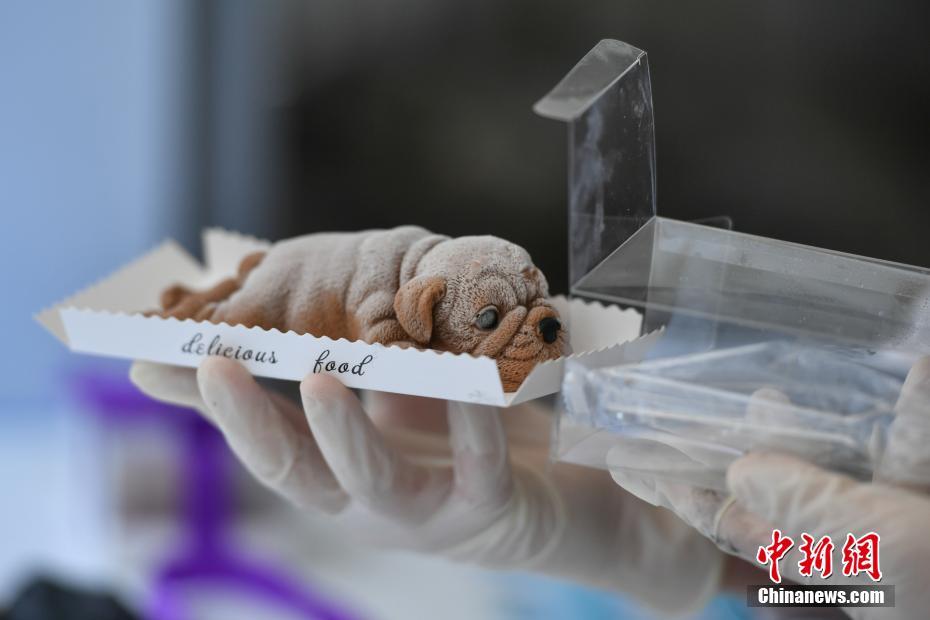 《海贼王第890集》在线观看