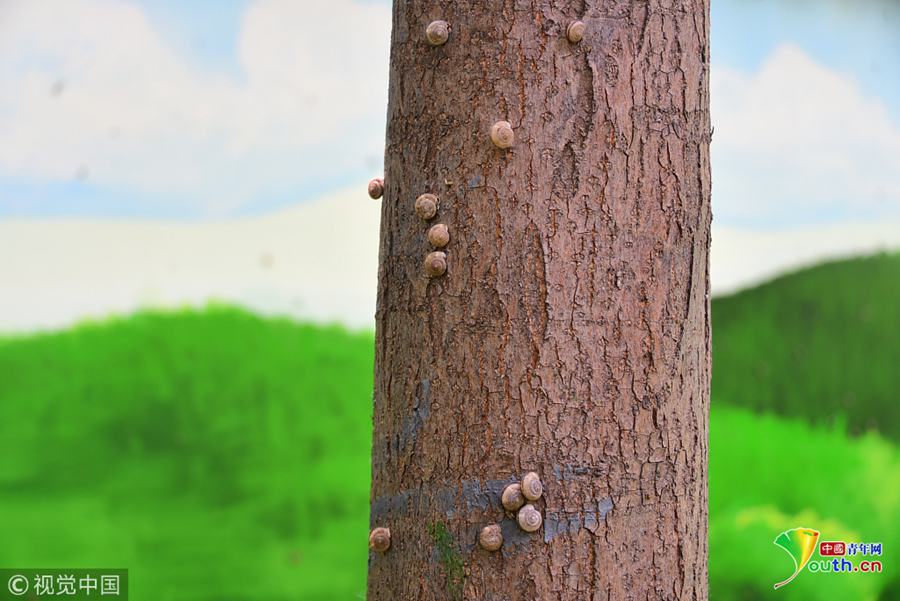 永久免费不收费无限看