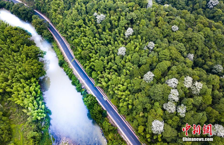 国漫战力排行榜