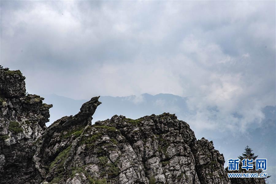 免费漫画阅站app下载安装无广告，畅享丰富漫画资源