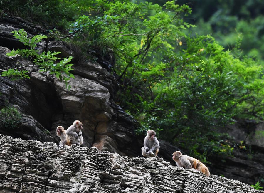 datealive 地铁逃生回归！biubiu免费加速，畅玩海量海内外精品手游