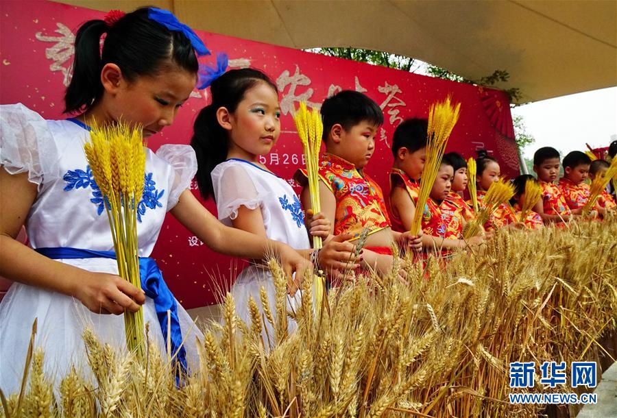 笔趣阁手机版:优质小说阅读软件,类型全且可自由查找