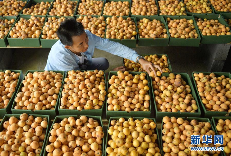 师青玄贺玄图片