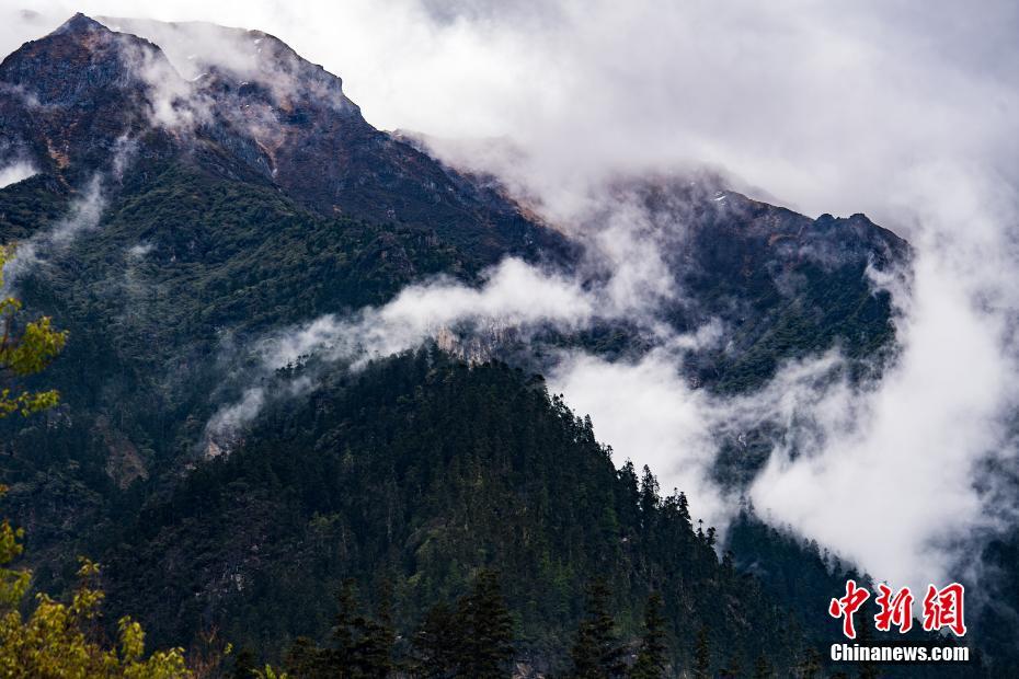 弱点漫画在线观看