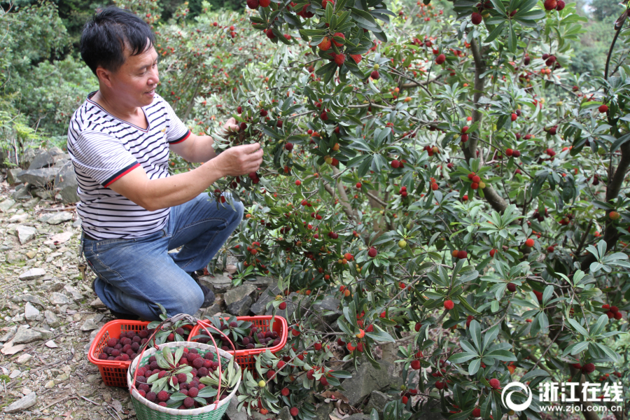 阅站漫画app最新版:免费搜索全网漫画,畅享多种便捷阅读体验