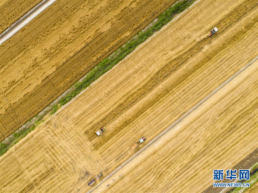 备受关注的死神230模型，设计与工艺究竟有多出色？