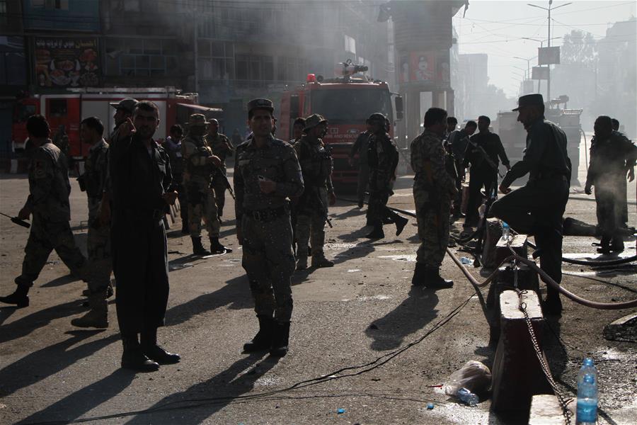 《海贼王第890集》在线观看