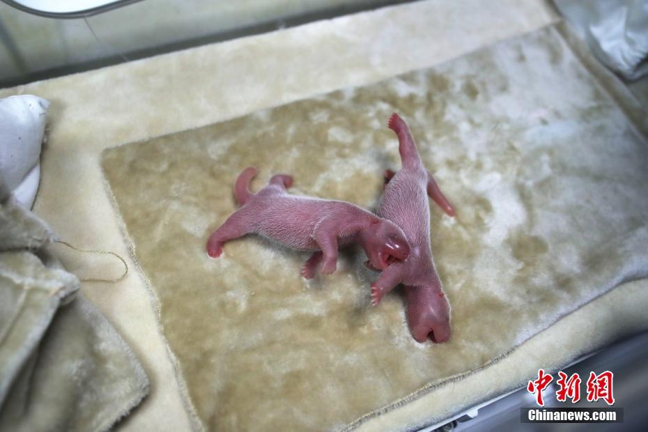 datealive 地铁逃生回归！biubiu免费加速，畅玩海量海内外精品手游