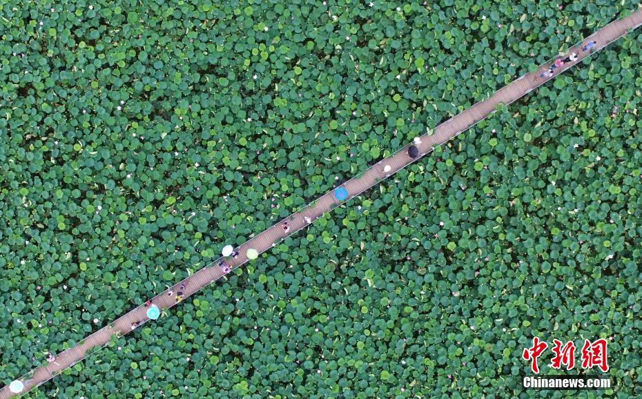 阅站漫画：资源丰富更新快，免费福利多，阅读体验超棒