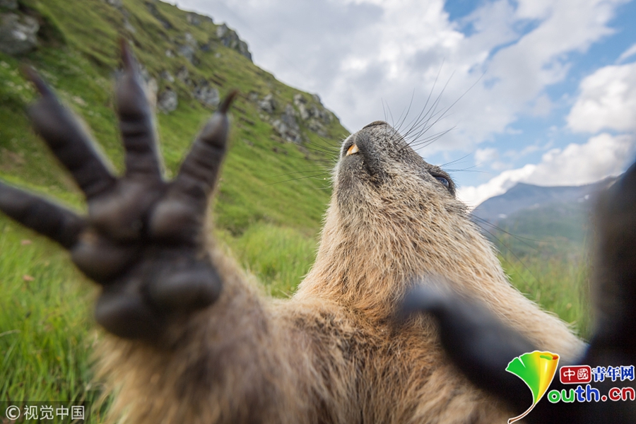 笔趣阁手机版：优质小说阅读软件，类型全且可自由查找