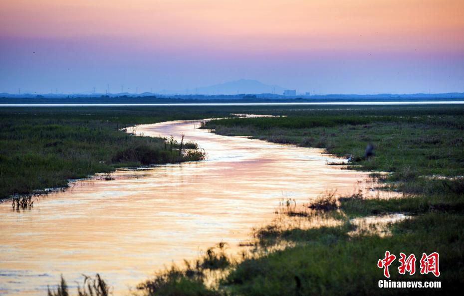 哔哩哔哩隐藏内容怎么找？特殊标签与搜索技巧是关键