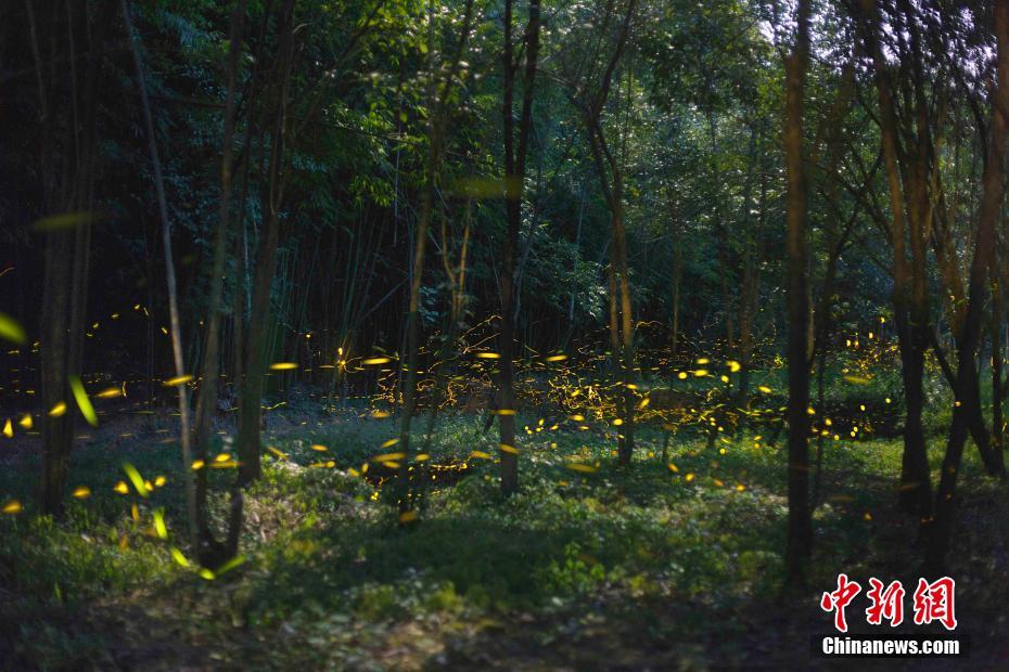 阅站漫画app最新版：免费搜索全网漫画，畅享多种便捷阅读体验