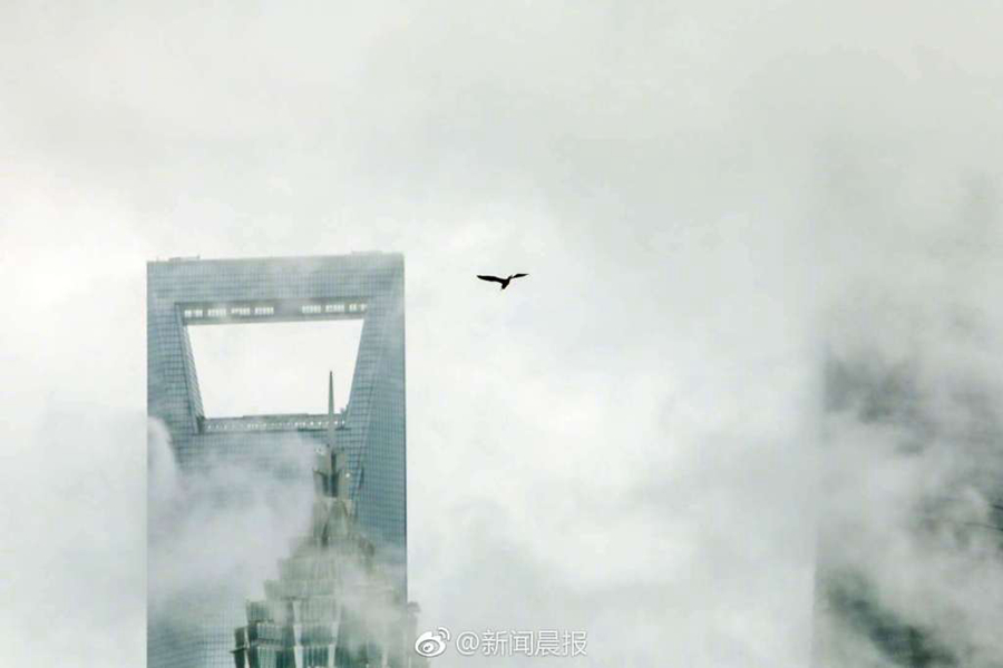 笔趣阁手机版：优质小说阅读软件，类型全且可自由查找