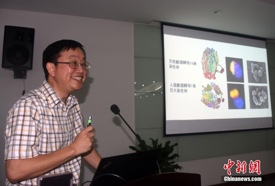 斗罗大陆之终极斗罗动漫在线观看