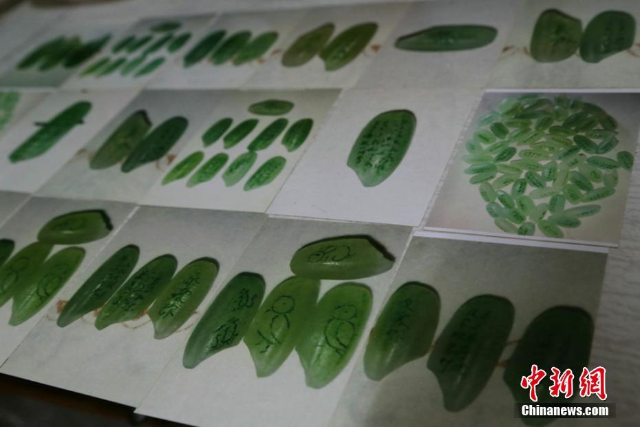 免费在线可阅读漫画成首选，却面临凯发k8国际首页登录的版权等难题待剖析？