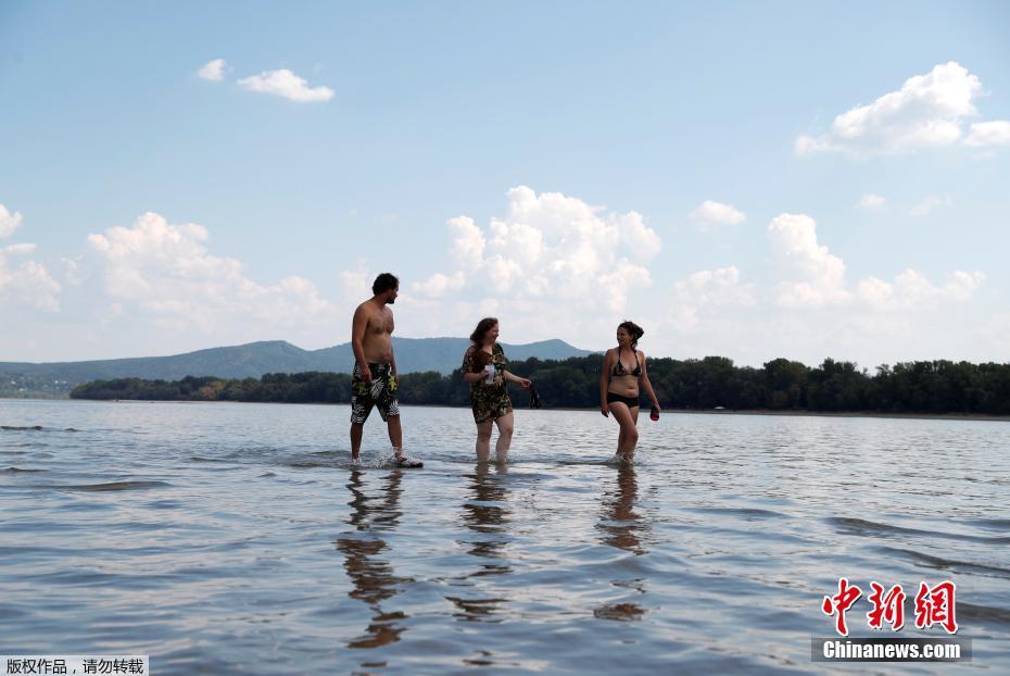 恋爱暴君小樱花