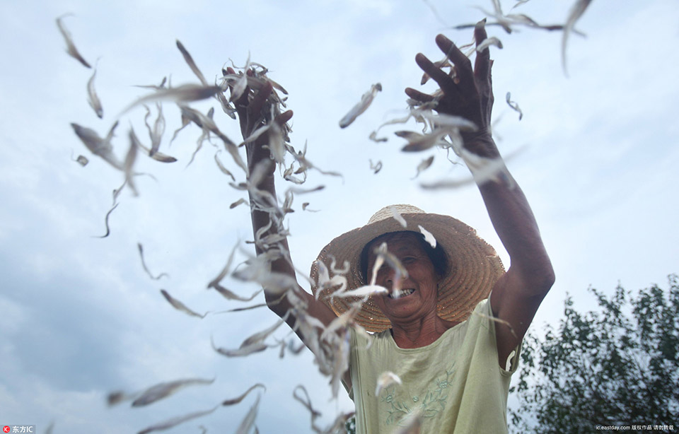 笔趣阁手机版：优质小说阅读软件，类型全且可自由查找