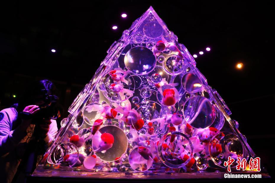 斗破苍穹老粉必看！正版免费观看渠道及支持正版的意义