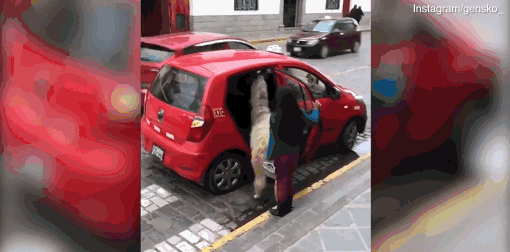 数字阅读普及下，韩漫免费观看的凯发k8国际首页登录的版权风险与安全提示