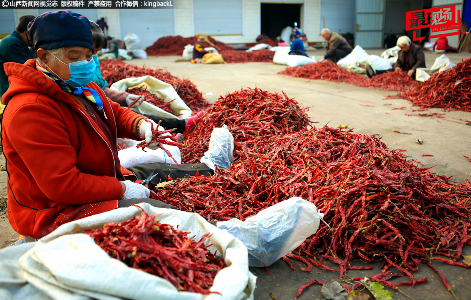 缘之空借兄妹情纠葛引发思索，为何对兄妹恋情描绘引争议？