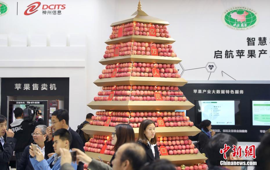 哔哩哔哩隐藏内容怎么找？特殊标签与搜索技巧是关键