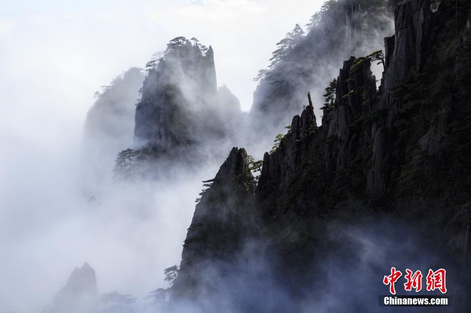 缘之空借兄妹情纠葛引发思索，为何对兄妹恋情描绘引争议？