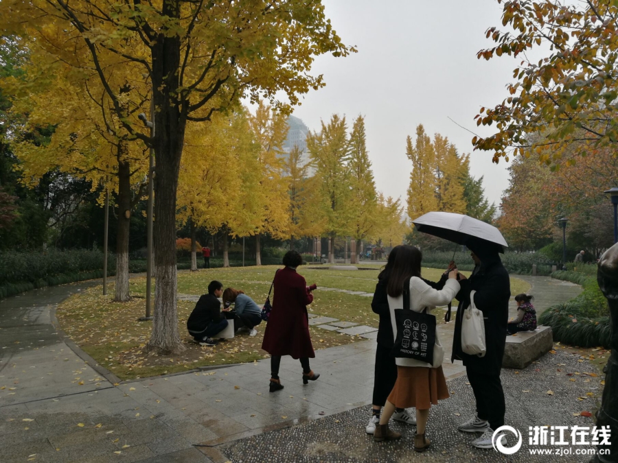 缘之空借兄妹情纠葛引发思索,为何对兄妹恋情描绘引争议?