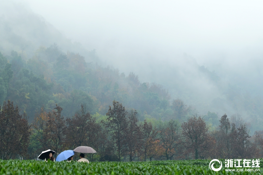 《嫡女重生凤倾天下》