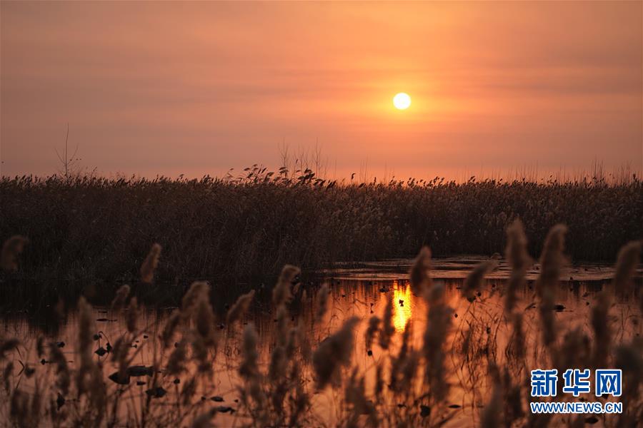 纯情罗曼史百度云