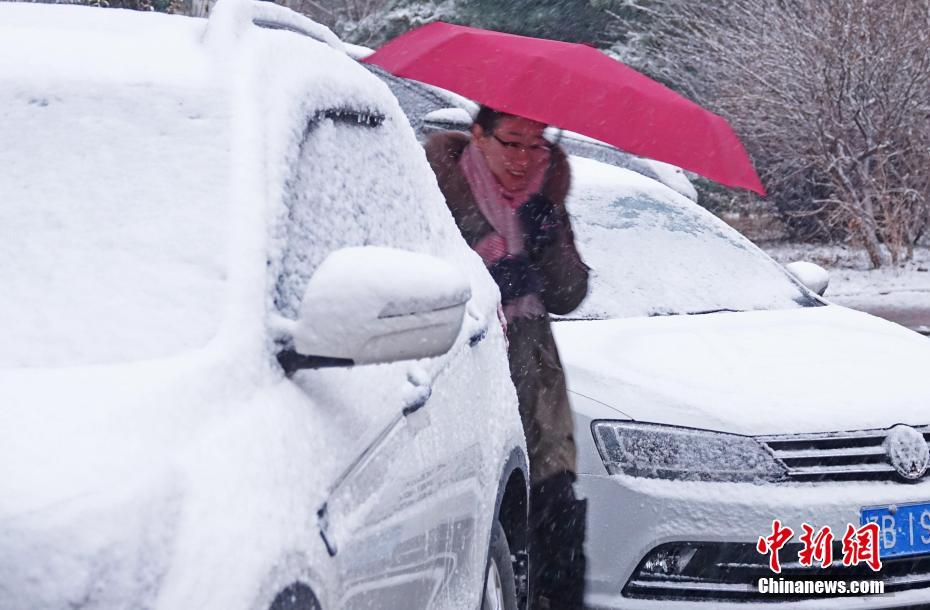 歪歪斜斜韩漫免费漫画秋蝉