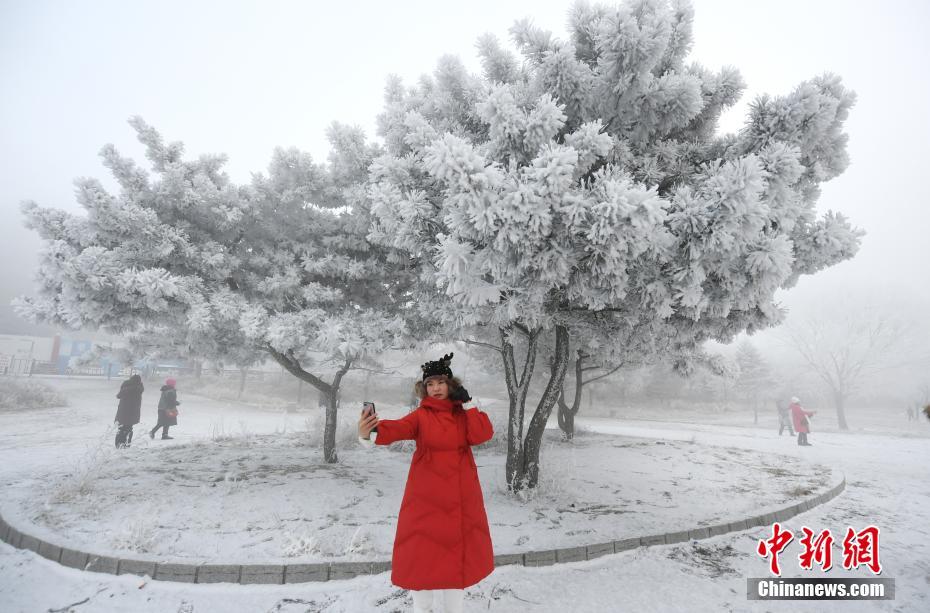 《海贼王第890集》在线观看